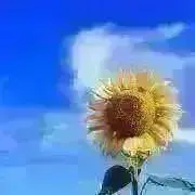 ⌘ 睦月 ⌘の画像