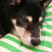 ゆずひこ✳プロフィール必読✳