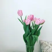 R☆の画像
