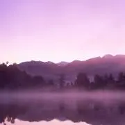 しろへびの画像