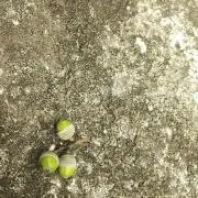 けいえすの画像