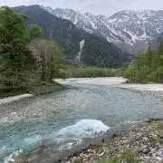 世田谷のヤセガタの画像