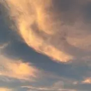 みくるの画像