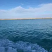 KARINの画像
