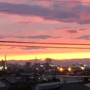 パリアの画像