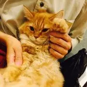なむちょの画像
