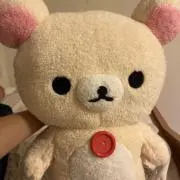 みやこうの画像