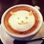 りりの画像