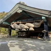 メルメルの画像