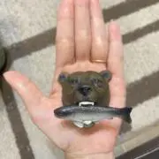くましゃけ