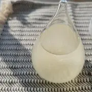 りんごちゃんの画像