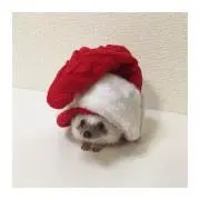 さくさくねずみの画像