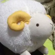 xxkyokaxxの画像