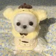 ♡の画像
