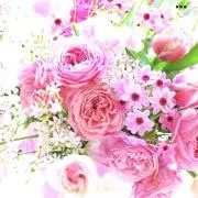 haru【プロフ必読お願いします】の画像