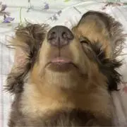 環(プロフ必読)の画像