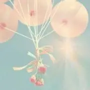 チルの画像