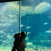 KR002の画像