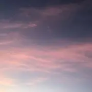 Mimiの画像