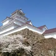 にゃんたろうの画像