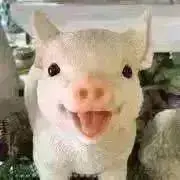 ぴのこの画像