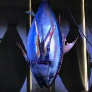 ともはる