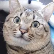 ゆん☺︎