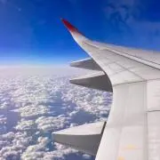 Hinkの画像
