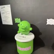 たぬきちの画像