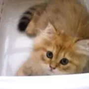 kirara♡