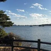 Tの画像