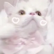 ももの画像