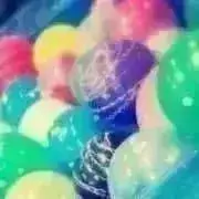 まりもの画像