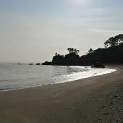 sazanami