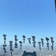 なーの画像