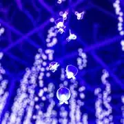 k_skの画像