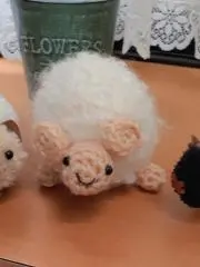 チャドの画像