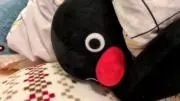 すみぇの画像