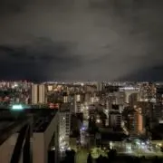 うにの中身