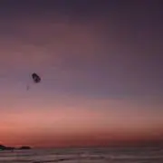 クリコの画像