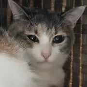 ⭐️よっちゃん⭐️の画像