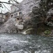 隆景