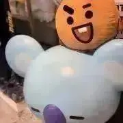 ぽんの画像