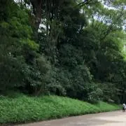 さの画像
