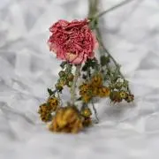 tmkの画像