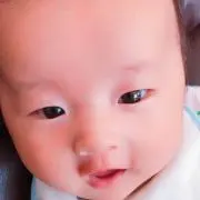 ぶらうん君の画像