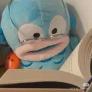 魚魚の画像
