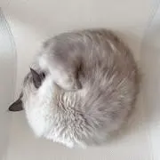 yukoの画像