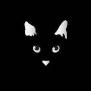 WHITEcat