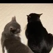くうはる